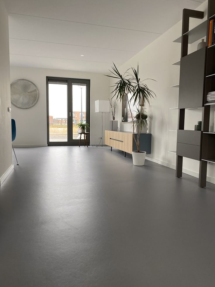 Vinyle gris salon contemporain